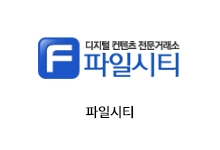 파일시티